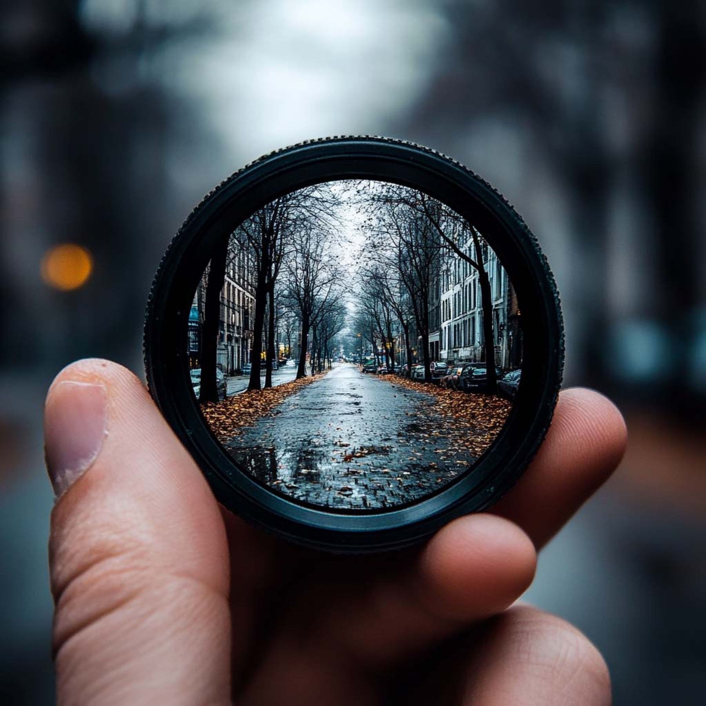 Focus, Momentum, and Discipline: Keys to Success